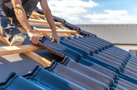 Couverture - Linards