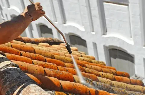 Nettoyage de toitures - Linards